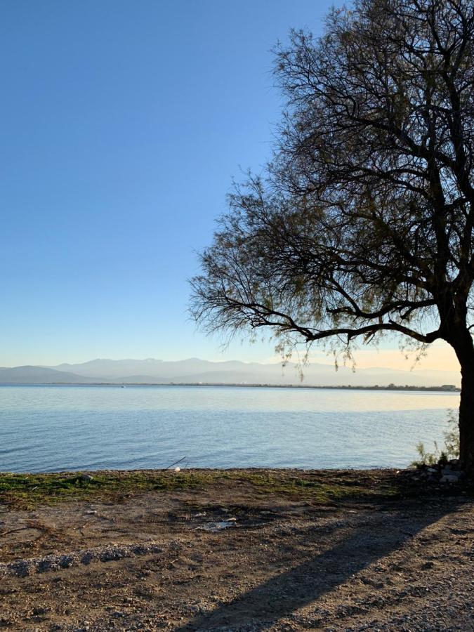 Holidays Pelion Studio Nea Ankhialos Bagian luar foto